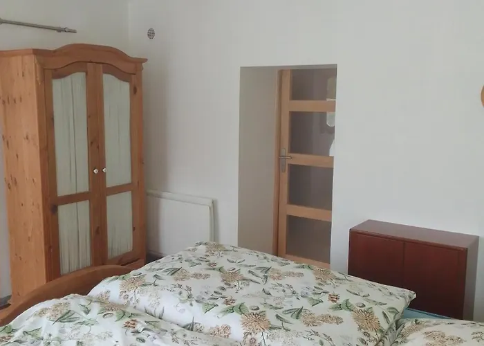 Appartement, Vogesenhaus In 度假居